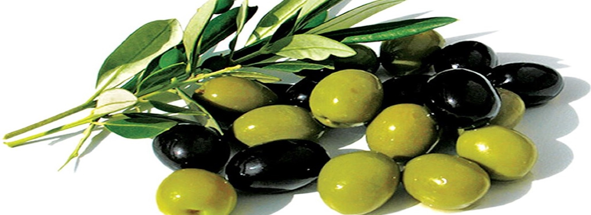 زیتون